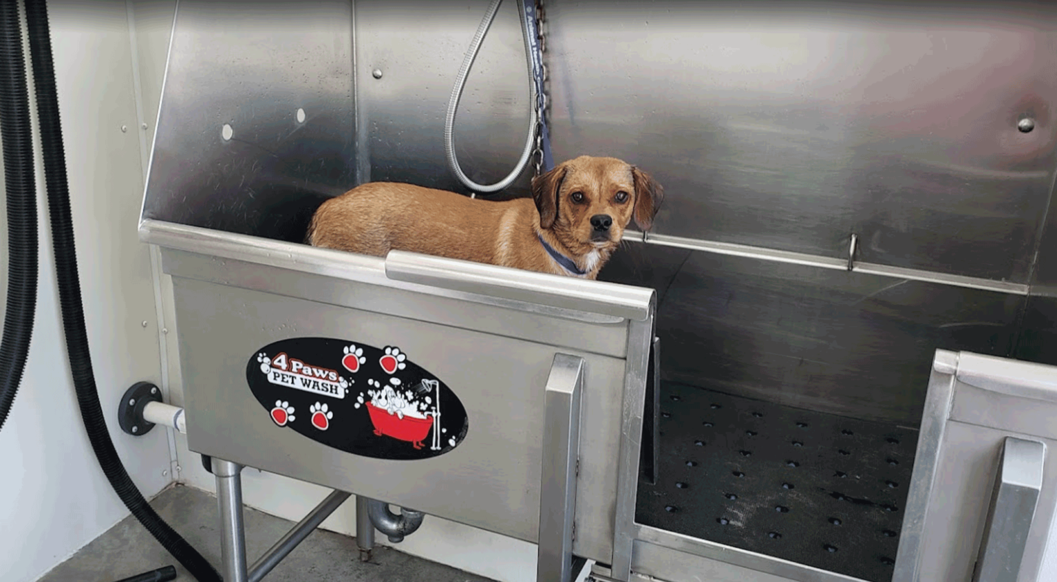 Pet Wash Wash King Car & Pet Wash